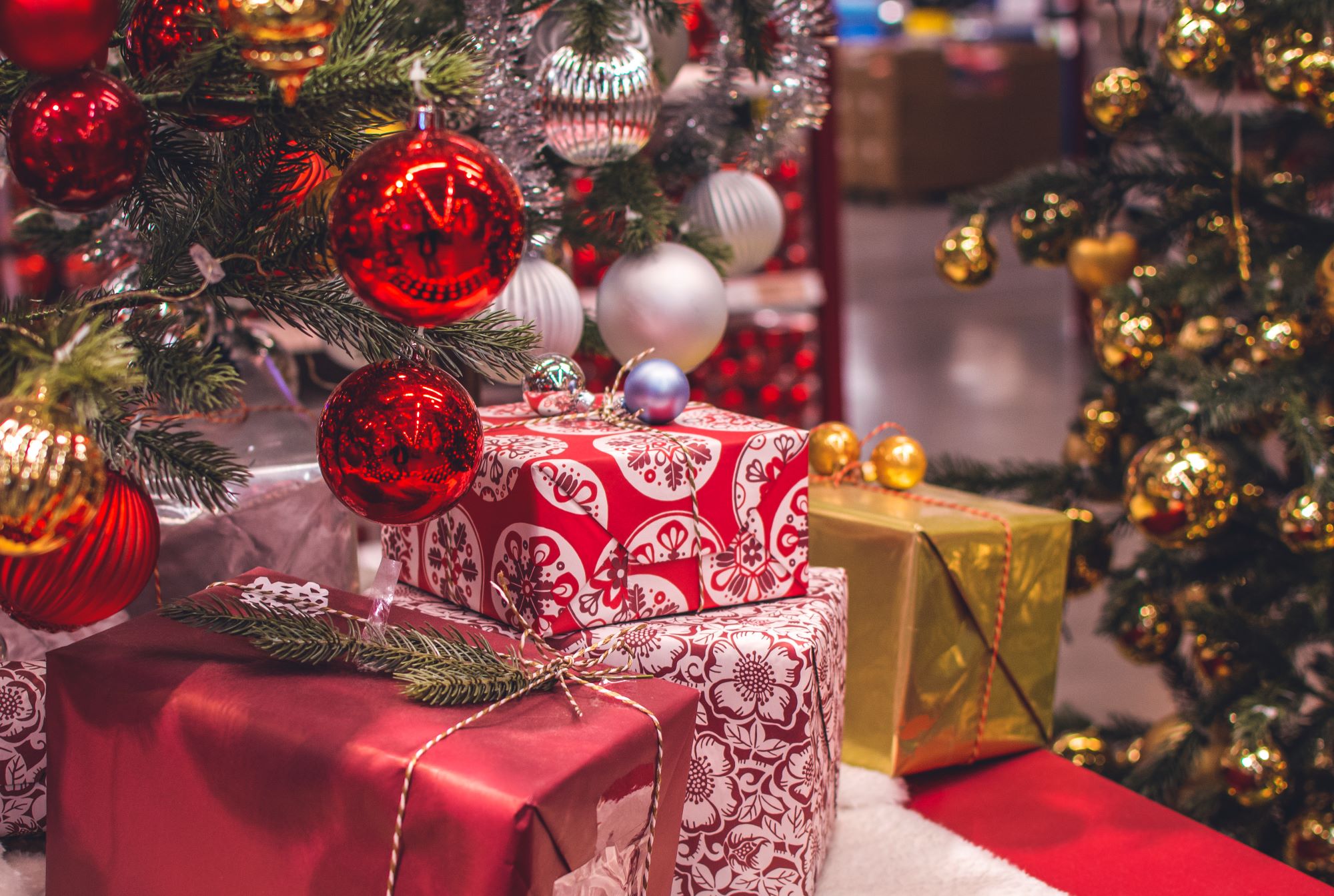 1609119445734509.jpg 1609119445734509.jpg